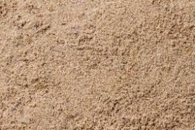Coarse Sand (1yard)